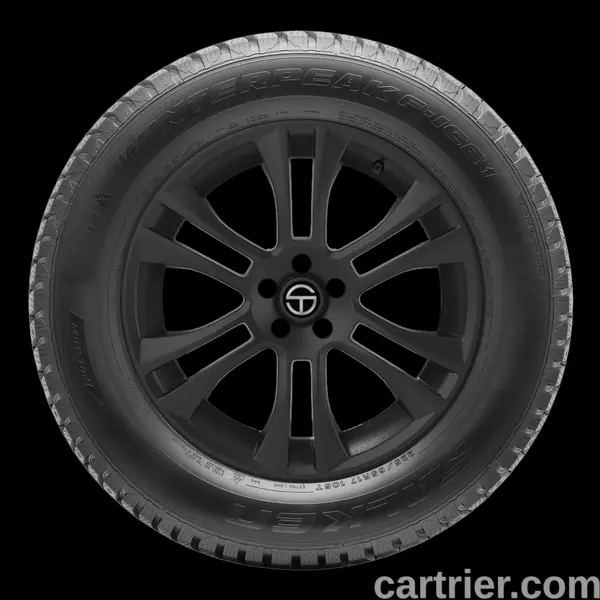 Falken Winterpeak F-Ice 1