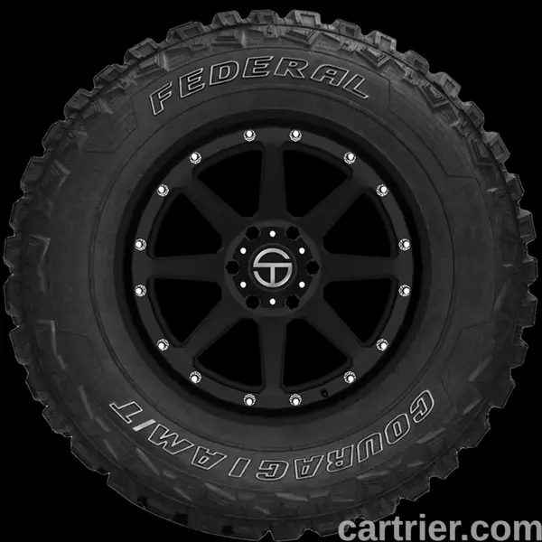 Federal Couragia M/T