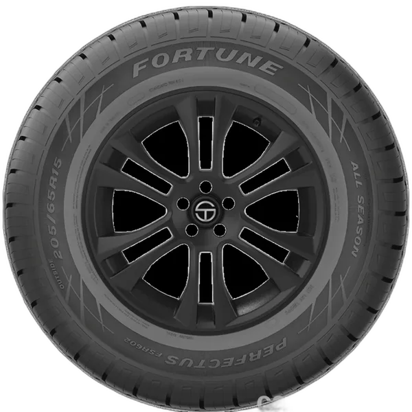 Fortune Perfectus FSR602