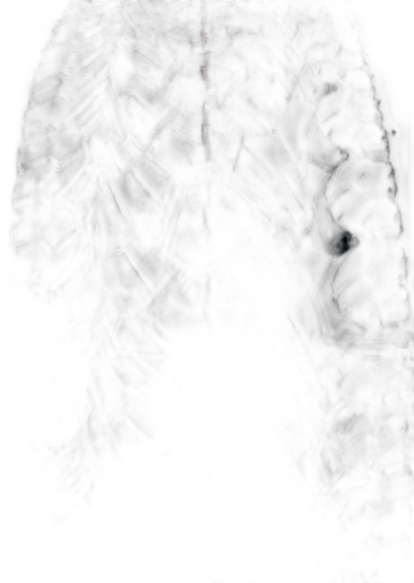 Goodyear Wrangler Adventure