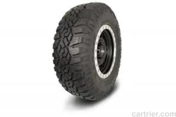 Greenball Sonny – Ingens A1