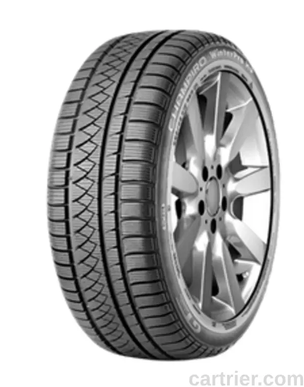 Gt Radial Champiro Winterpro HP