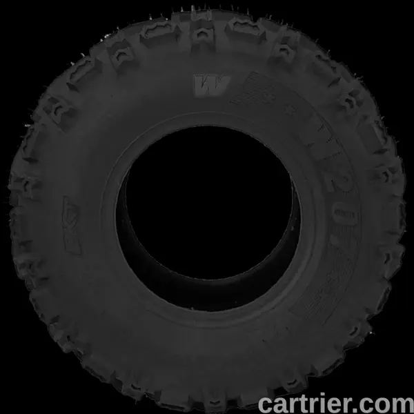 Jetzon Wing – W207