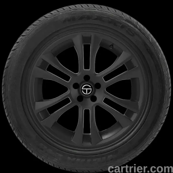 Maxxis MA-Z4S Victra