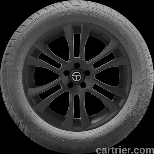 Milestar Weatherguard AW365