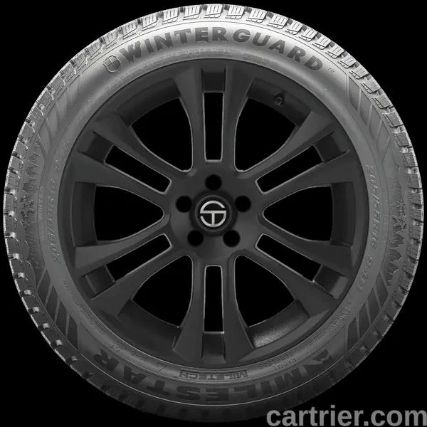 Milestar Winterguard