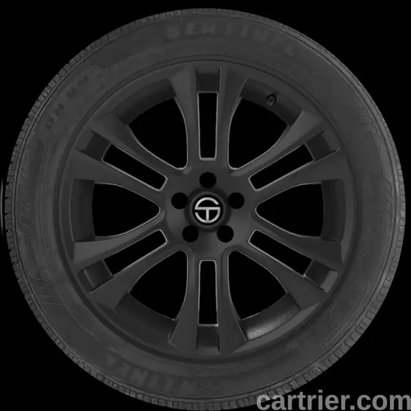 National Sentinel UN99