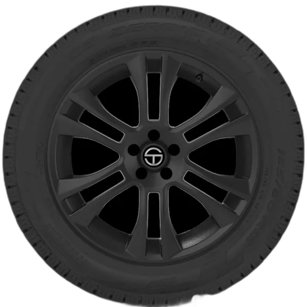 Pirelli Ice Zero FR
