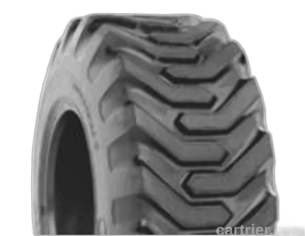 Regency Skid Steer TL NHS