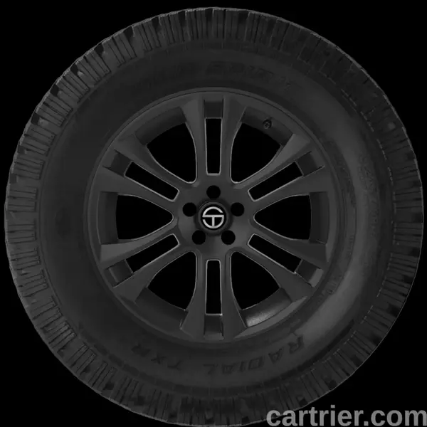 Sigma Wild Spirit Radial TXR II