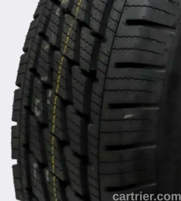 Vizzoni Dreamliner H/T