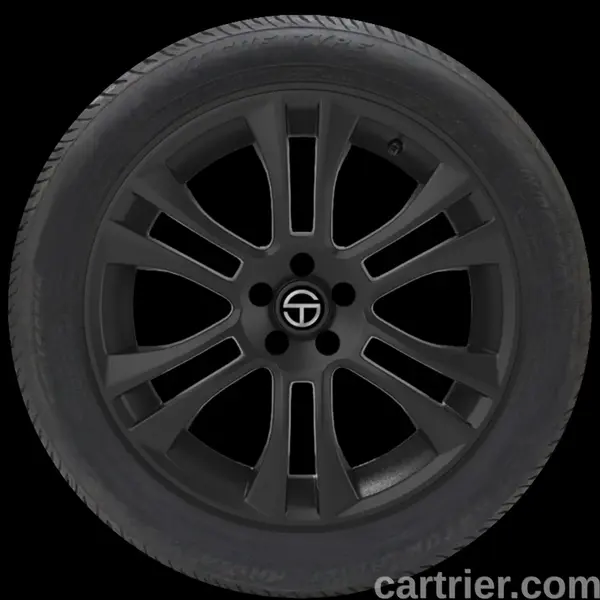 Vogue Custom Built Radial IX