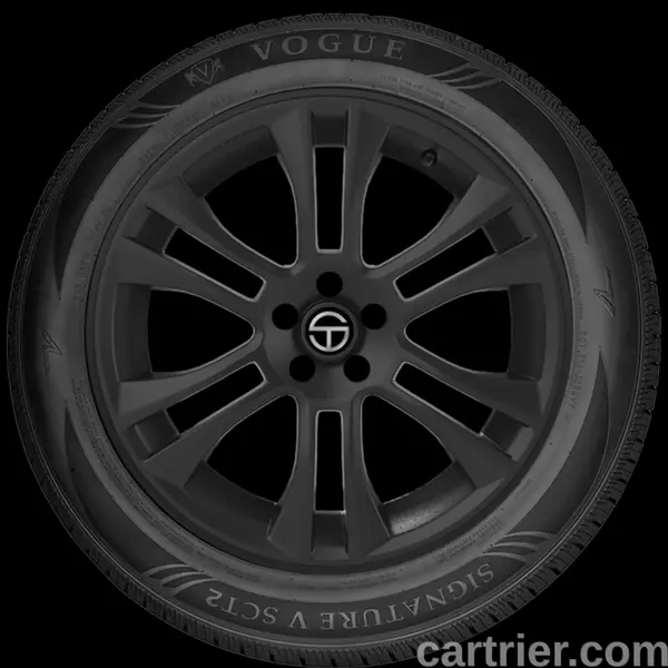 Vogue Signature V Black SCT II