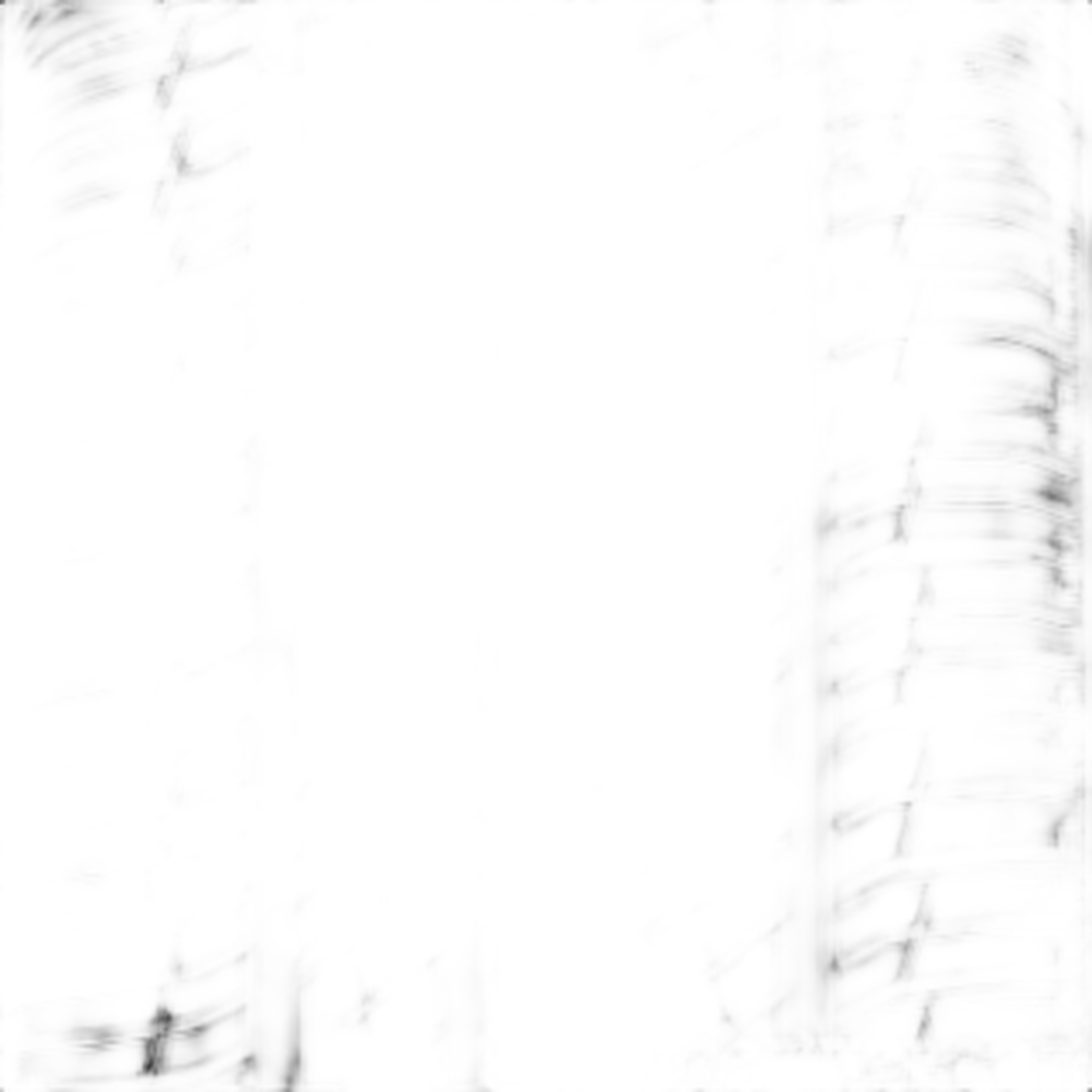 Custom Built Radial SCT2 Blue Stripe