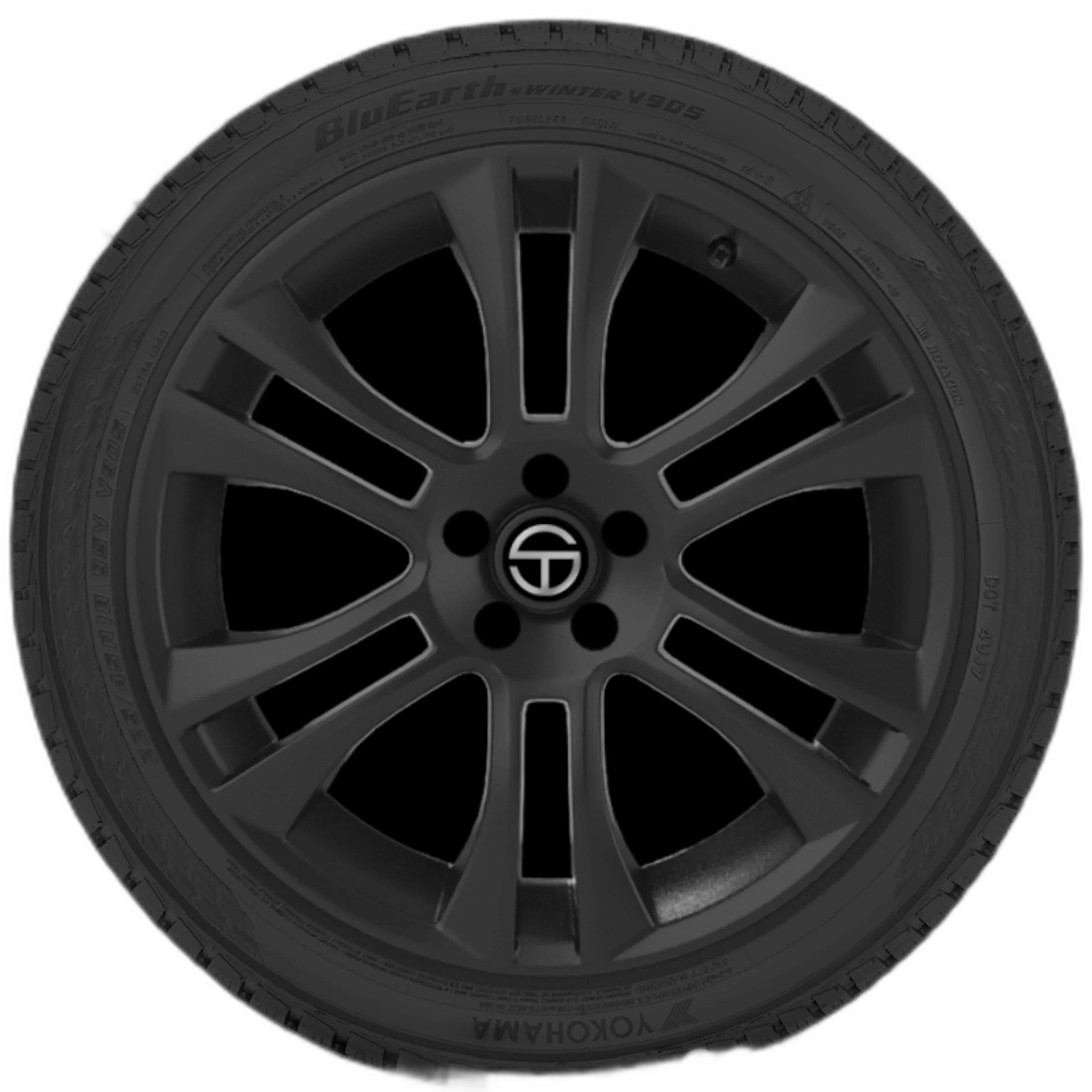 BluEarth Winter V905