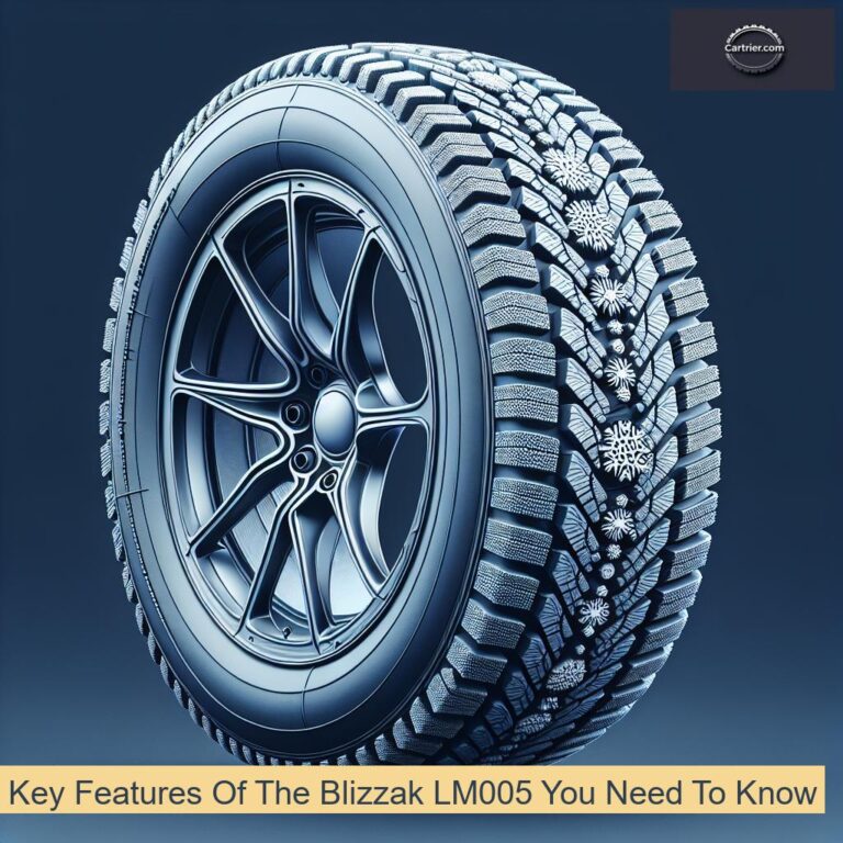 Key Features Of The Blizzak LM005 You Need To Know